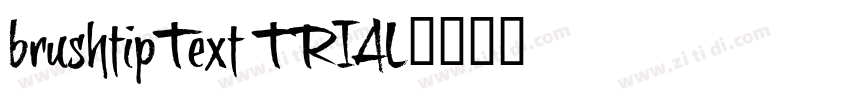 brushtipText TRIAL字体转换